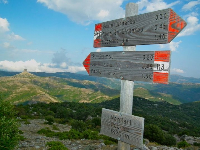 Excursiones de marcha nórdica 